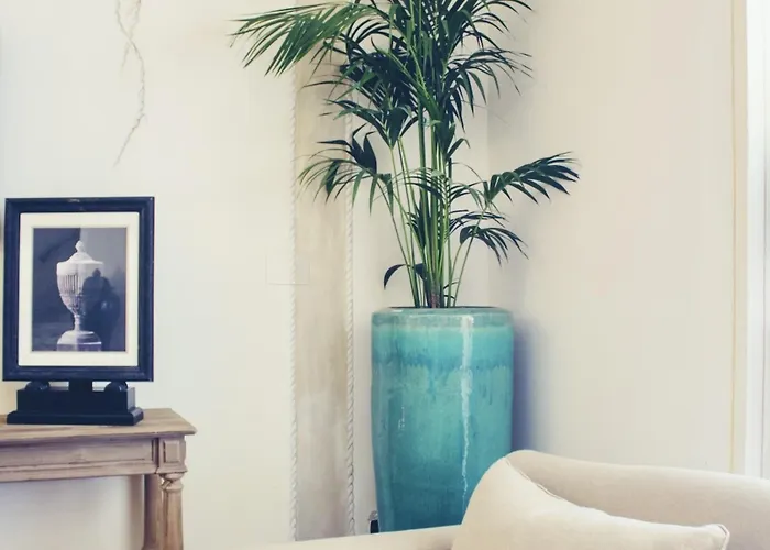 La Pigna Marina di Pietrasanta